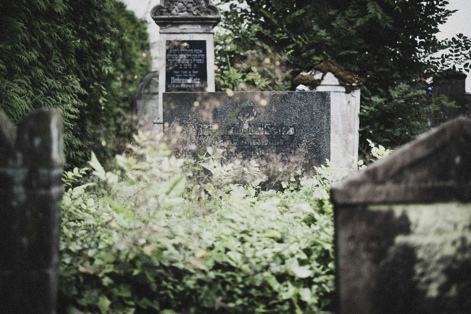 Barntrup, Jüdischer Friedhof